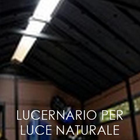 casette da giardino NETWON WOODSHIELD