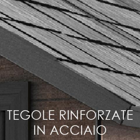 casette da giardino NETWON WOODSHIELD