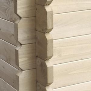 Assi essiccate con  funghicida, colore naturale